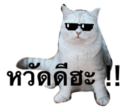 768479069
