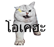 768479071