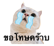 768479072