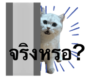 768479075