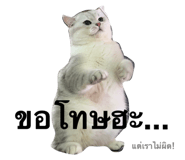768479076