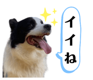 768491889