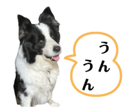 768491891