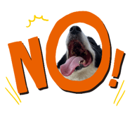 768491910