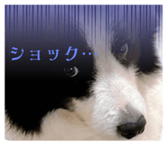 768491915