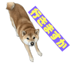 768507585