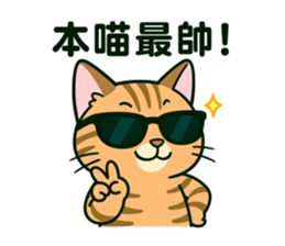 768508690