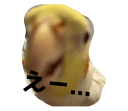 768508966