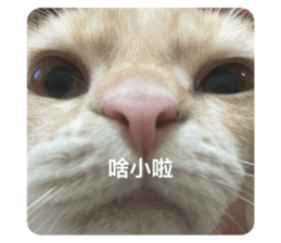 768515664