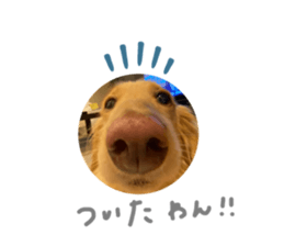 768517025
