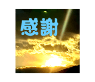 768519735