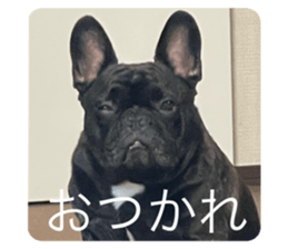 768549816