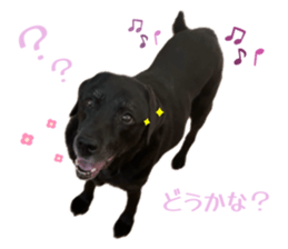 768555484
