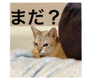 768559820