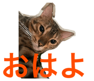 768559826