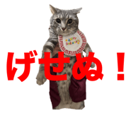 768559829