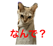 768559839