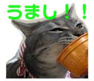 768559842