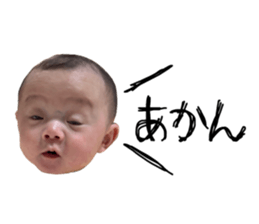 768560033