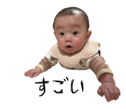 768560044
