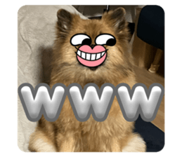 768560198