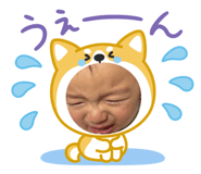 768563382