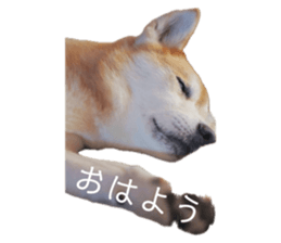 768563578