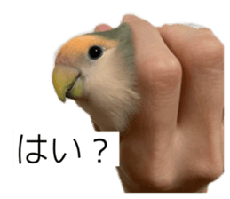 768563856