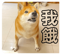 768567186