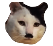 768580114