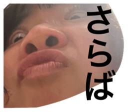 768581353