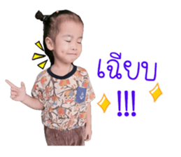 76860016