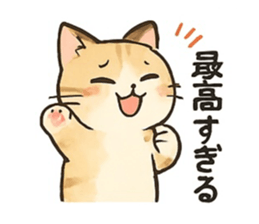 768604305