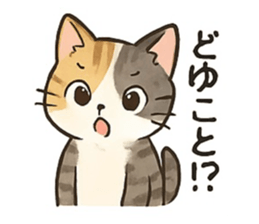 768604312