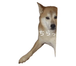 768606482