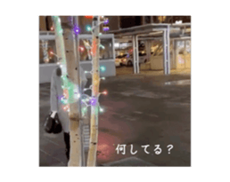 768609178