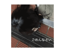 768609179