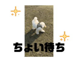 768609384