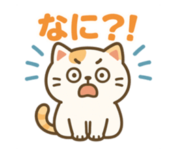 768626299