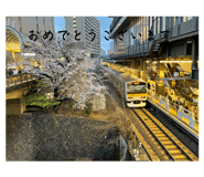 768641303