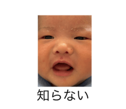 768648045