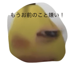 768648795