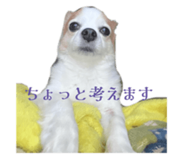 768651429