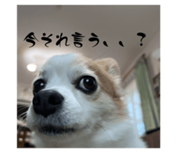 768651430