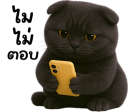 768664004