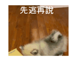 768665399