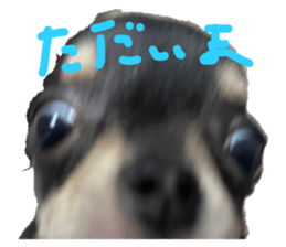 768676721