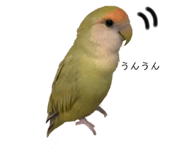768677721