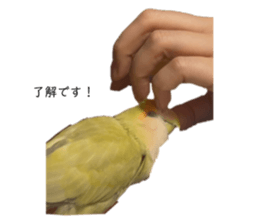 768677727