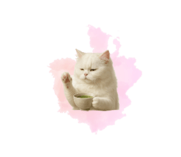 768680092